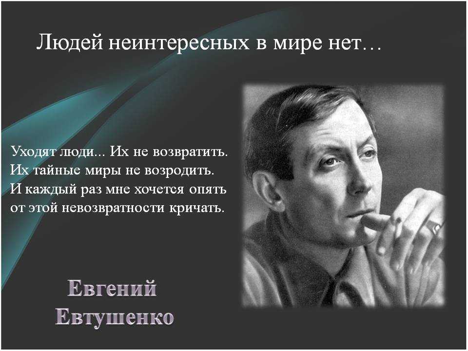 ​50 интересных фактов о ежах для любознательных — общенет