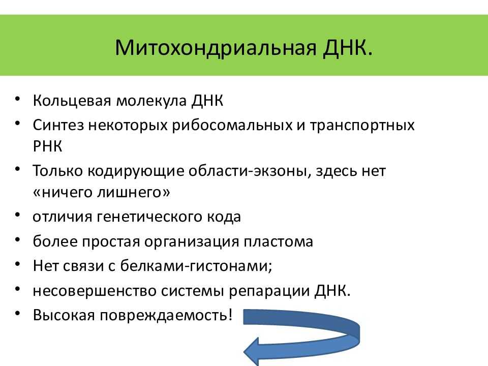 Структура генофонда европы в зеркале митохондриальной днк | генофонд рф