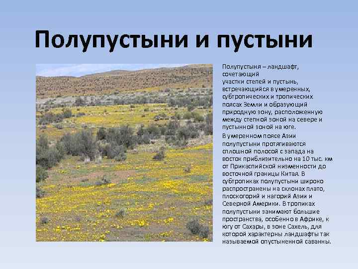Зона степей
