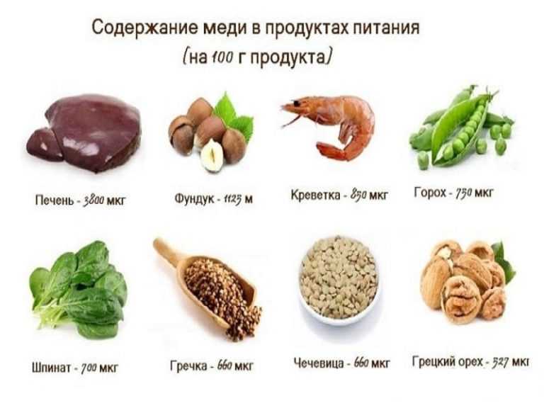 Почему таурин так важен для кошек