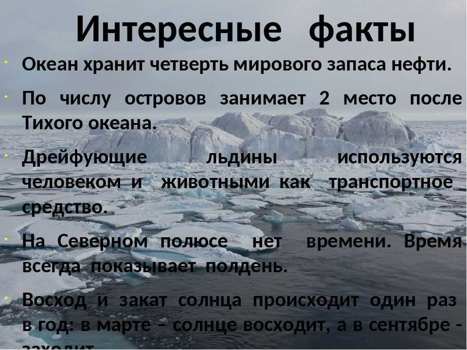 Виды морей.