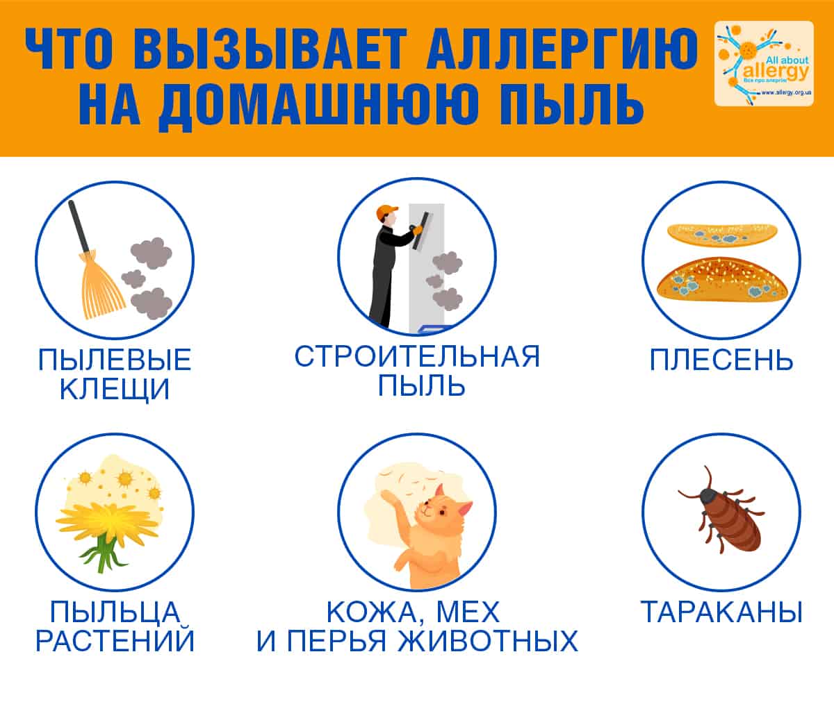 Какое животное завести, если вы подозреваете у себя аллергию на шерсть