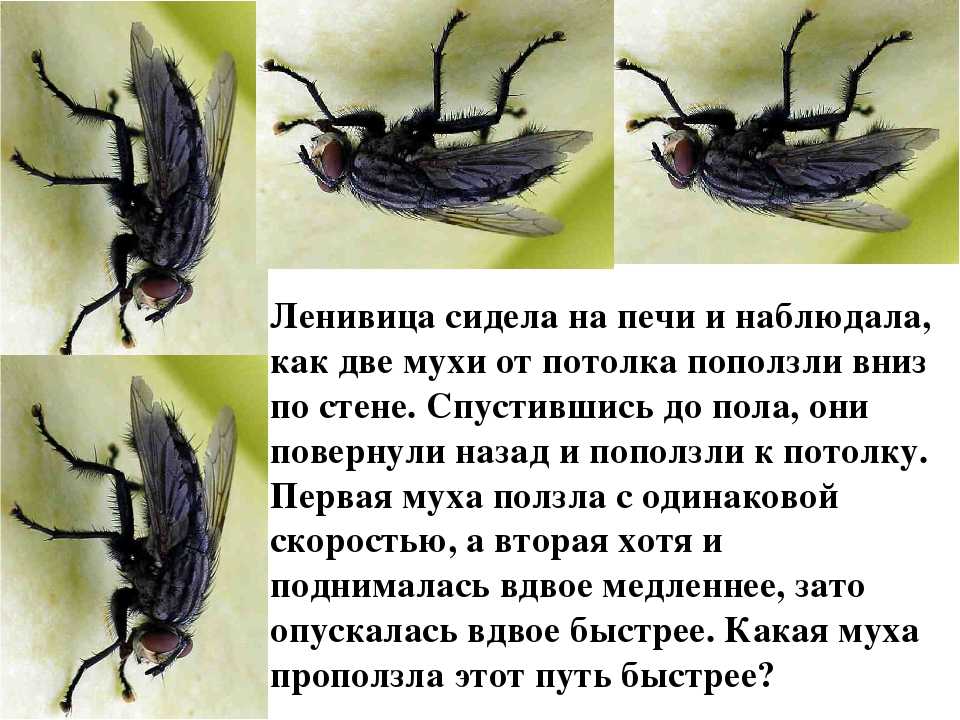 Название октав на фортепиано