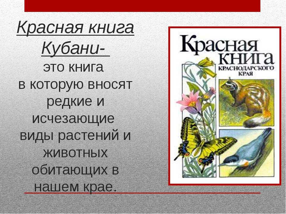Красная книга краснодарского края: редкие животные и растения - ecobloger