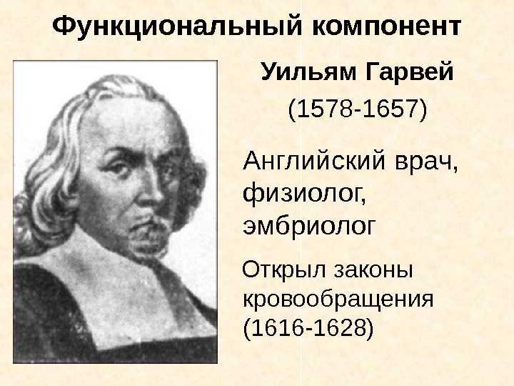 Как врачу XVI века удалось доказать существование кровообращения в организме, почему его считали никудышным терапевтом, но превосходным анатомом и кто из известных личностей был пациентом Уильяма Гарвея, читайте в сегодняшнем выпуске рубрики История науки
