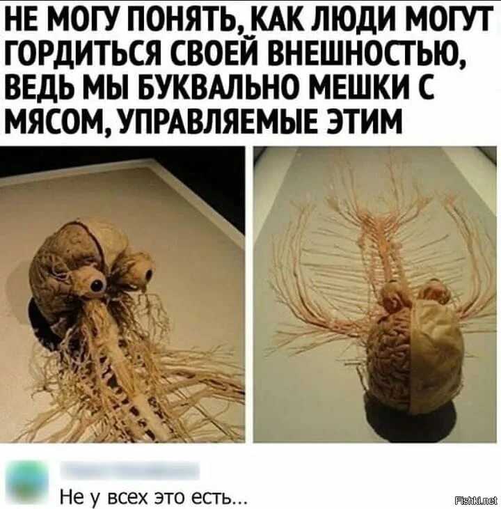 Книга модицина. encyclopedia pathologica читать онлайн
