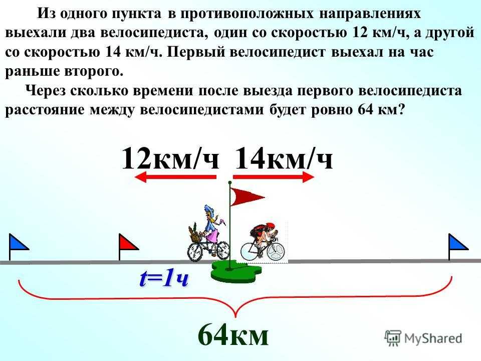 Эти удивительные муравьи — бороться или уживаться? описание, особенности жизни, как отпугнуть. фото — ботаничка