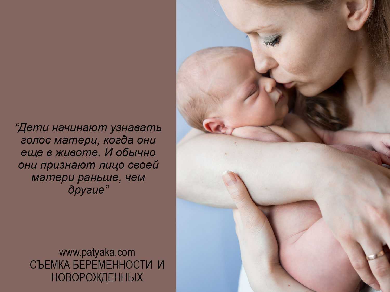 53 самых интересных факта о животных