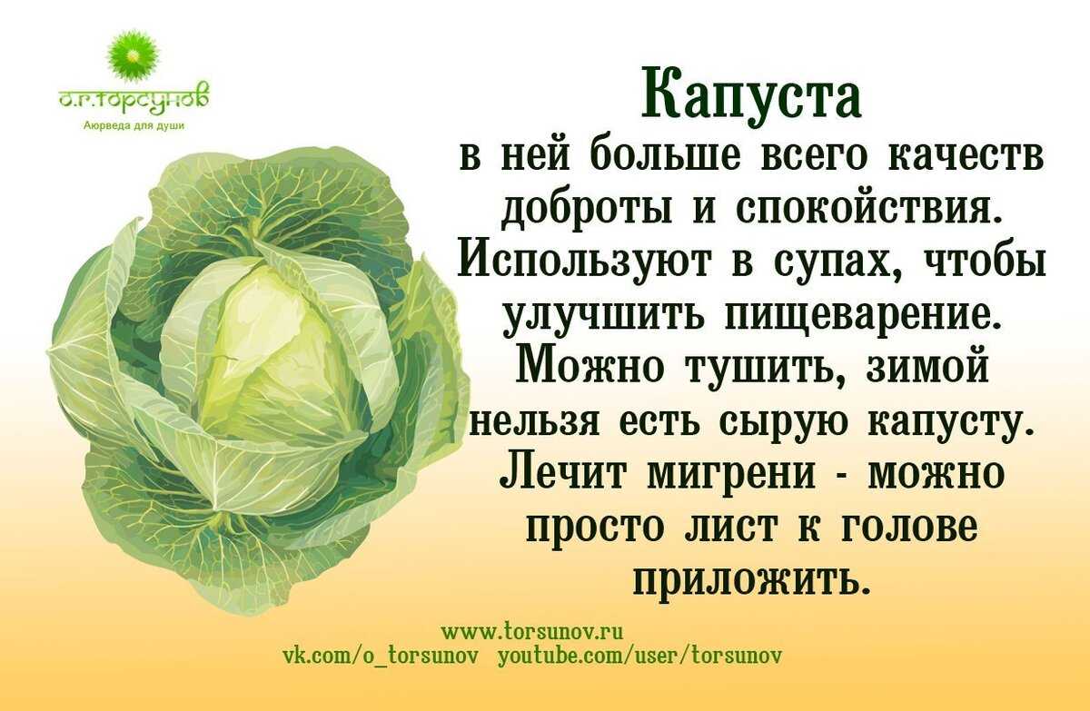 История кулинарии и возникновения известных блюд в мире