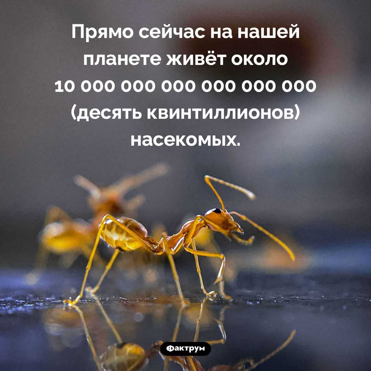 10 необычных фактов об экологии, которые должен знать каждый школьник: удивительные открытия хранителей природы