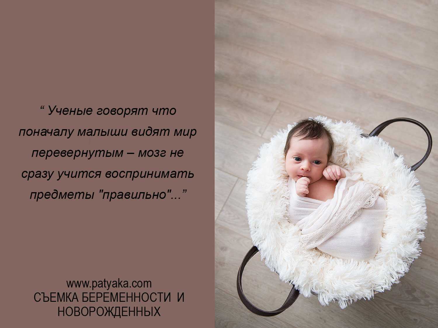 40 интересных и забавных фактов для маленьких детей