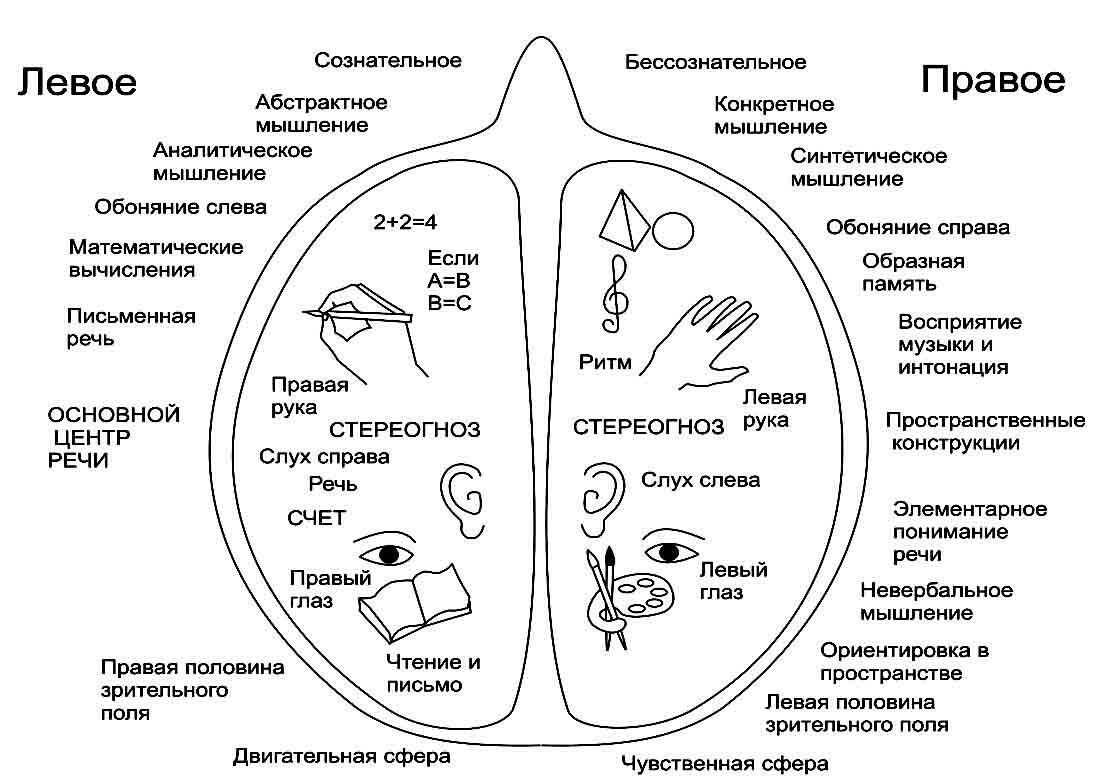 Загадки на логику — лучшая подборка для детей и взрослых