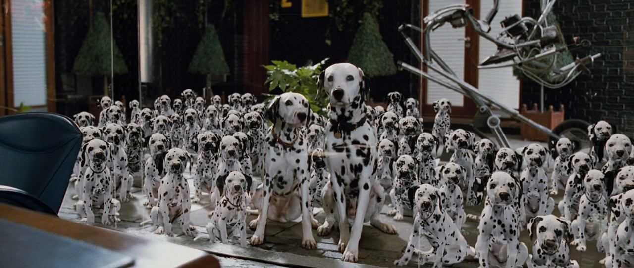 100 интересных вопросов для викторины с ответами на разные темы