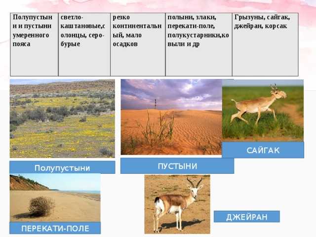 Пустыня