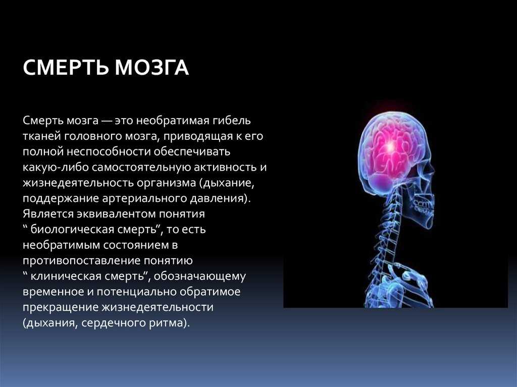 Поедающие мозг амебы распространяются на север и заражают все больше людей - hi-news.ru