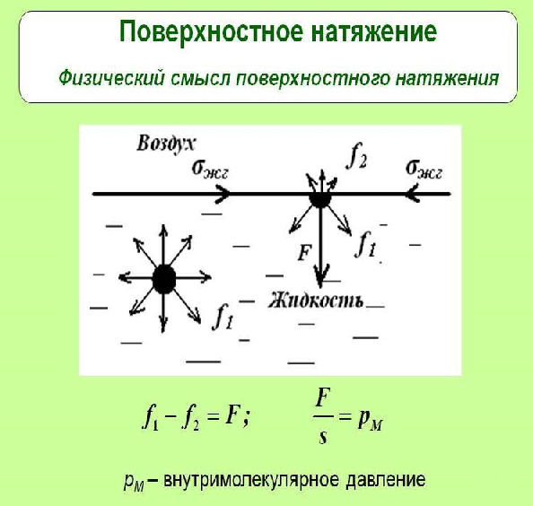 Как можно объяснить поверхностное натяжение жидкостей?