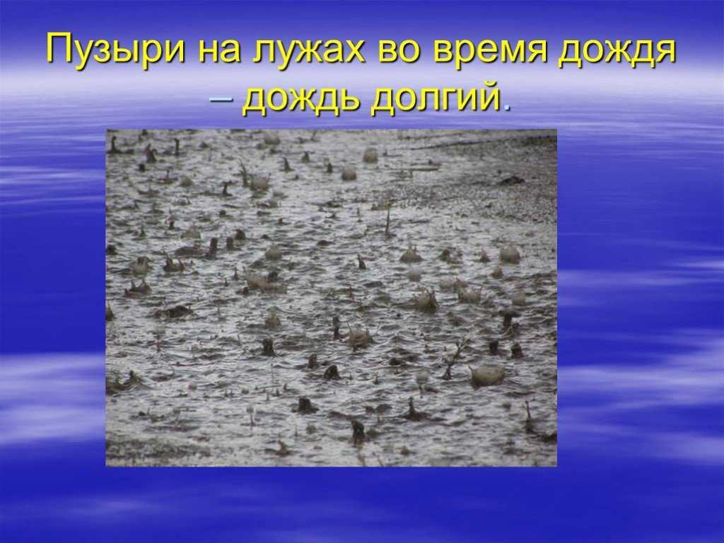 К чему пузыри на лужах во время дождя примета