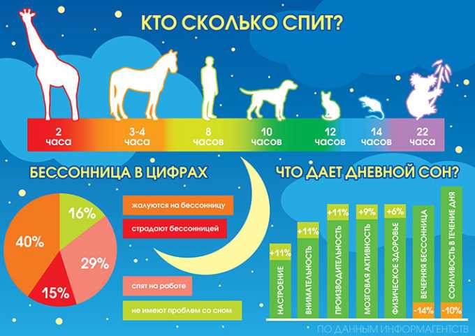Что происходит в организме во время сна