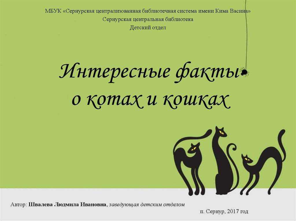 50 интересных фактов о кошках, которые вы могли не знать • всезнаешь.ру