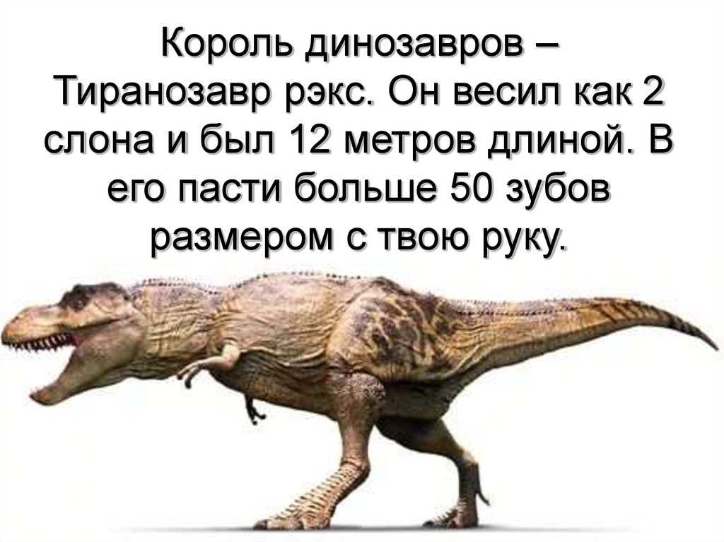 Каков был размер и рост тиранозавра: научное исследование