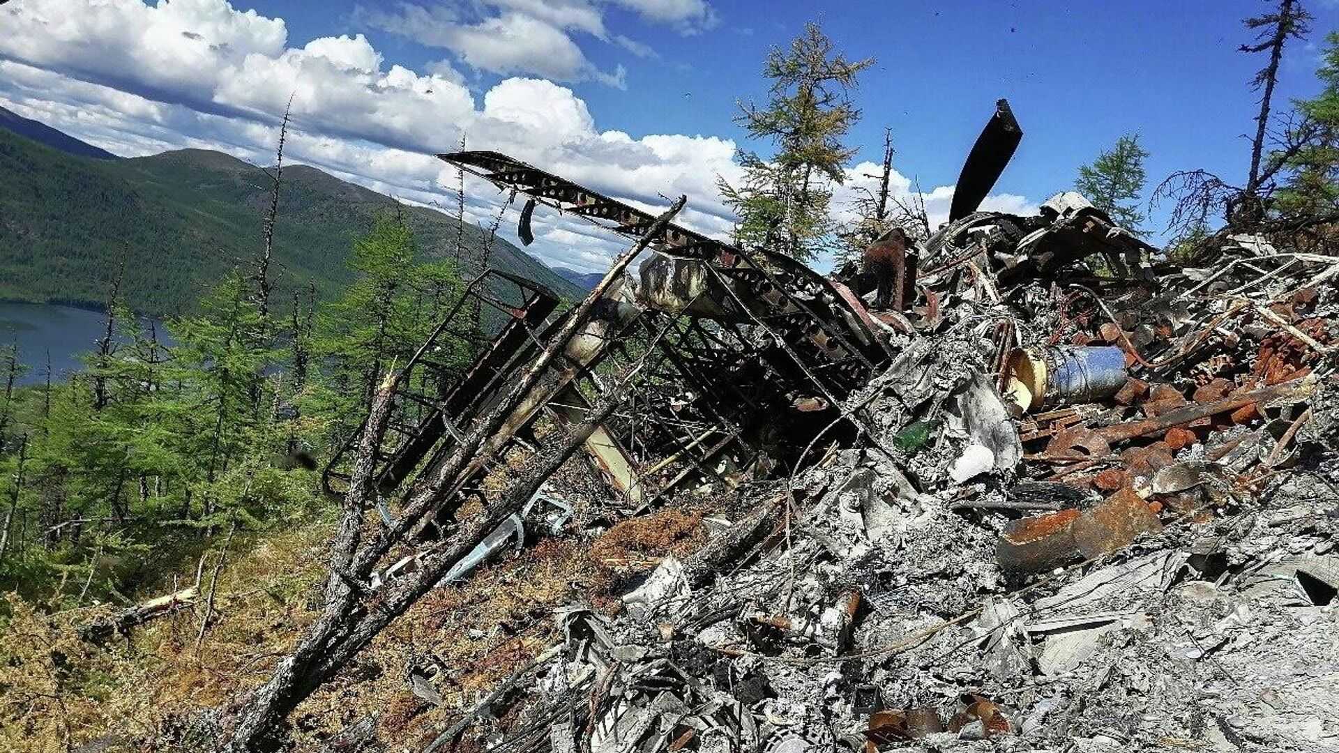 Катастрофа ан-24 над заливом сиваш