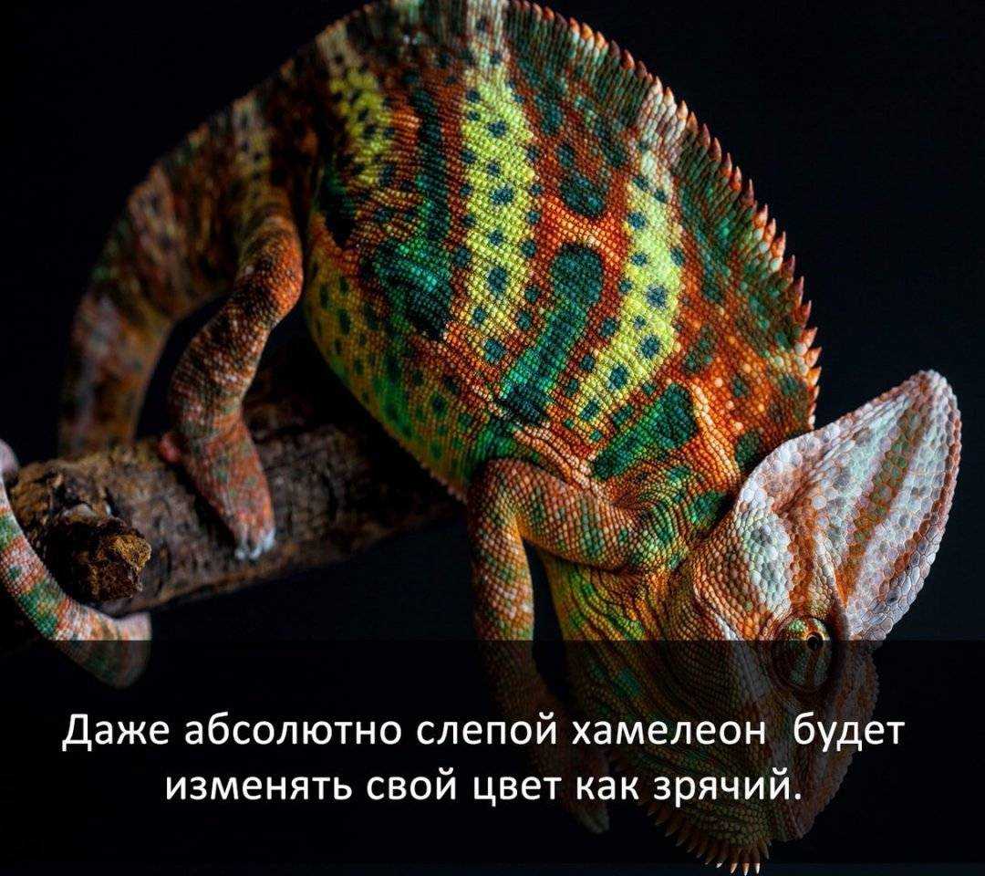 10 удивительных фактов о нашей планете, о которых мало кто знает