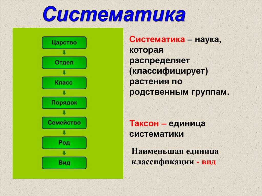 Культурные растения