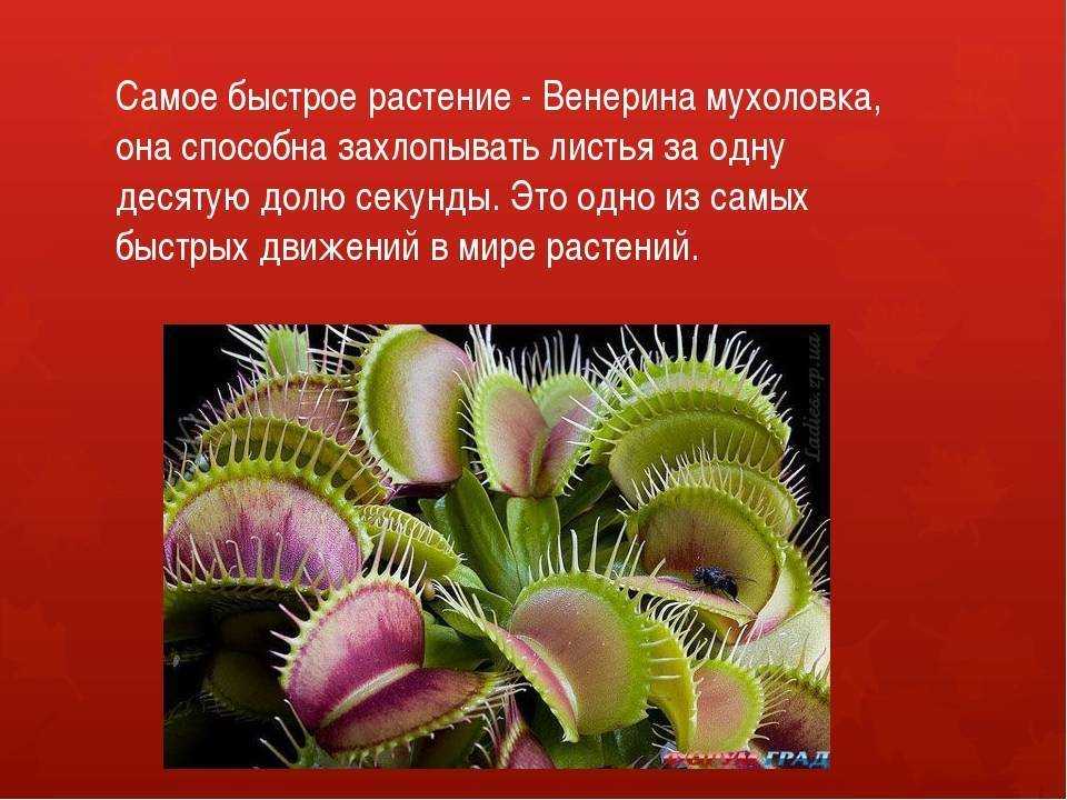 Почему меняются времена года на земле