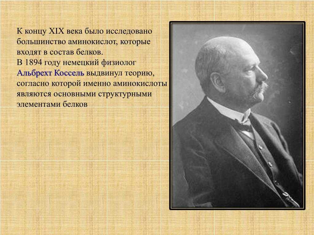 Знаменитые люди германии, великие немецкие ученые. нобелевский лаурат альбрехт коссель биография