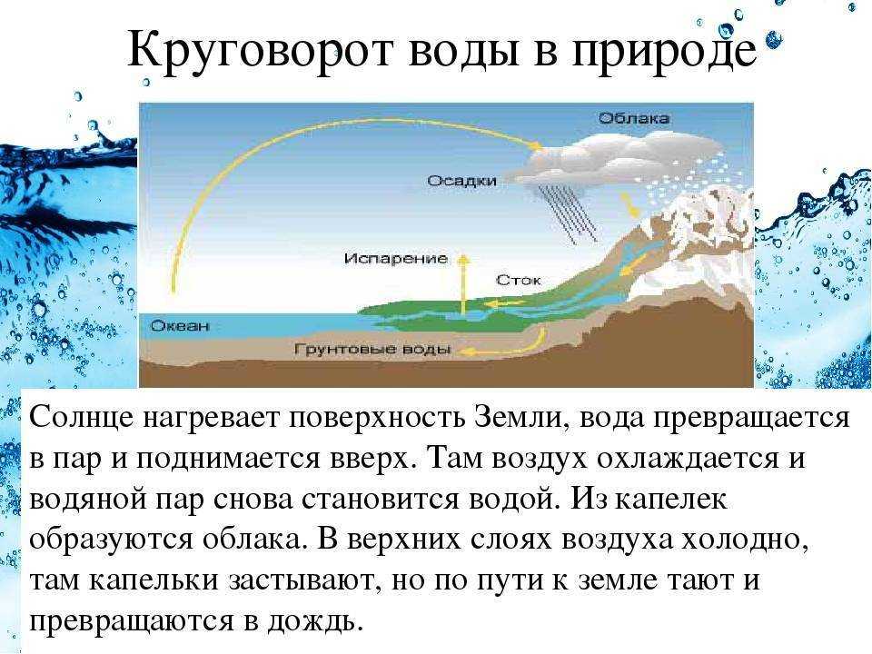 Круговорот воды в природе: что это такое, его значение