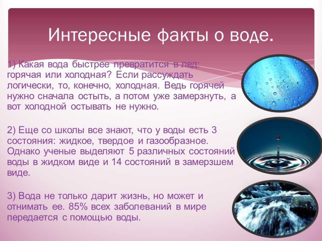 Интересные факты для школьников