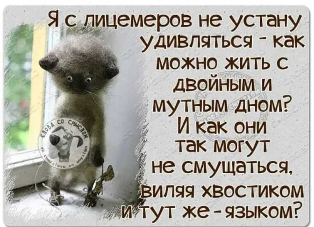Почему мы такие гадкие? наука доказывает безнравственность человека — нож