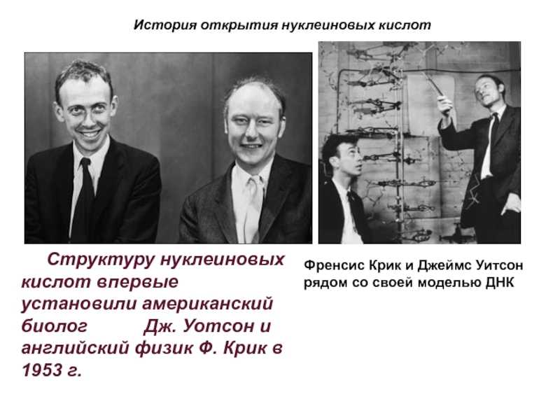 Утечка мозгов: наука и гражданская война