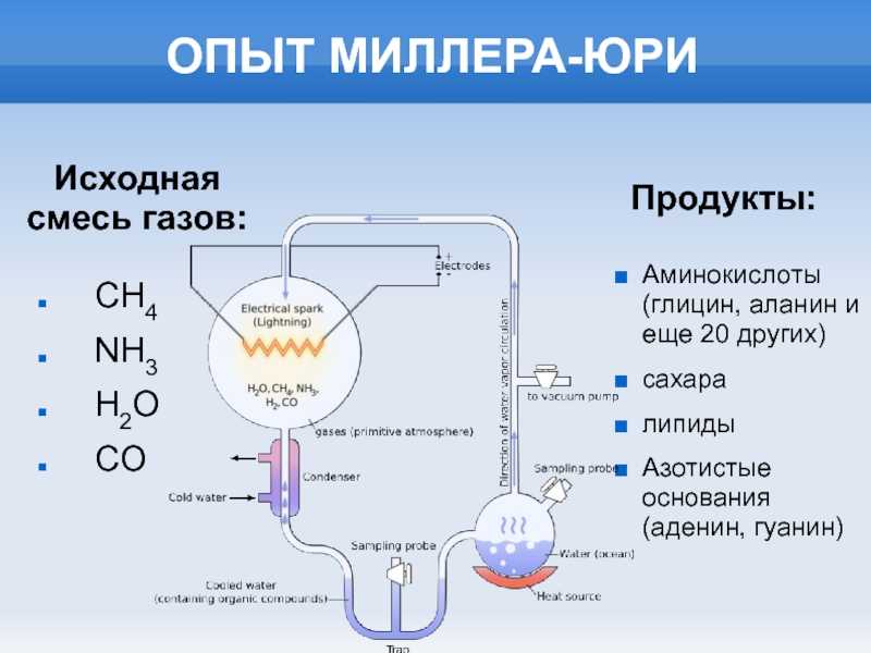 10 литературных произведений о науке и учёных - антимракобес: наука, технологии, скептицизм - 20 августа - 43238202235 - медиаплатформа миртесен
