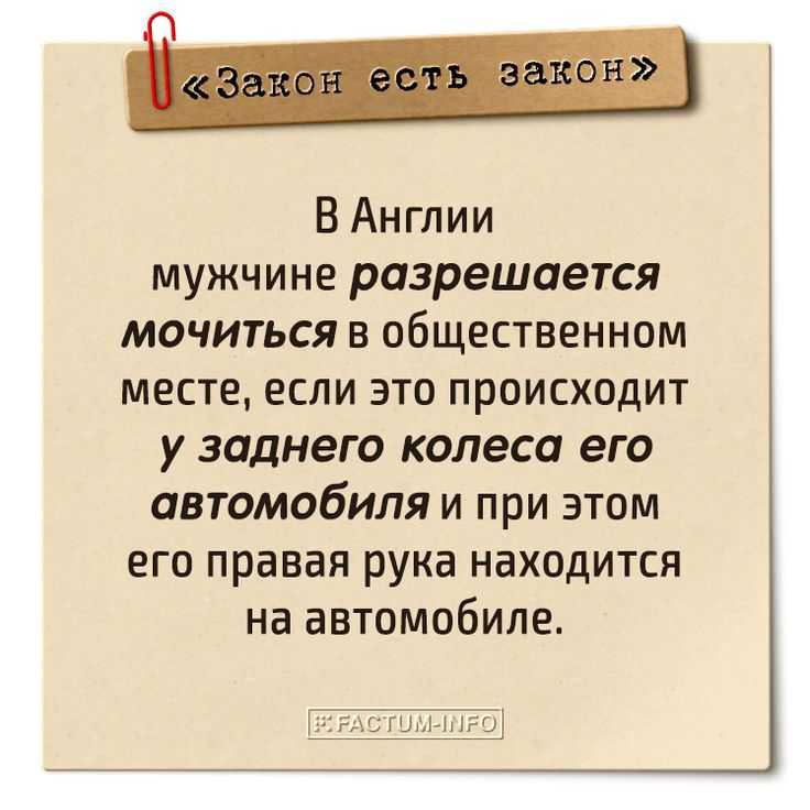 Самые безумные законы разных стран мира: от запретов на поведение до употребления алкоголя | моау лицей - официальный сайт
