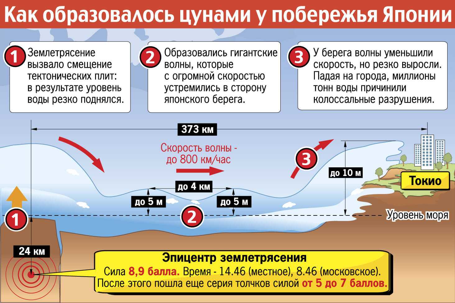 Цунами: что это такое, причины возникновения, самые страшные последствия, унесшие жизни тысяч человек