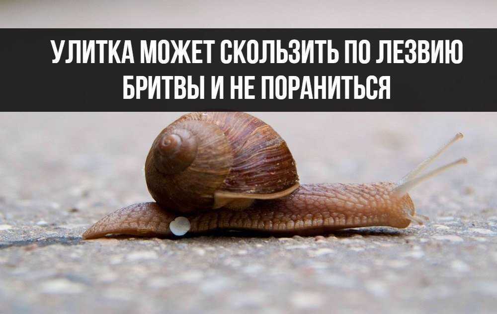 Старинные меры длины интересные факты. история появления мер