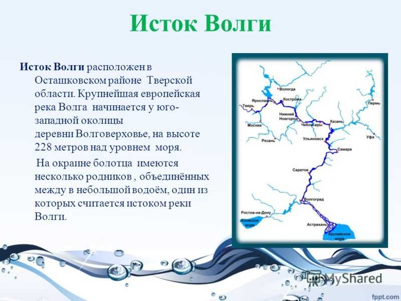 Основные притоки самой крупной реки россии волги, большие и маленькие реки, впадающие в нее