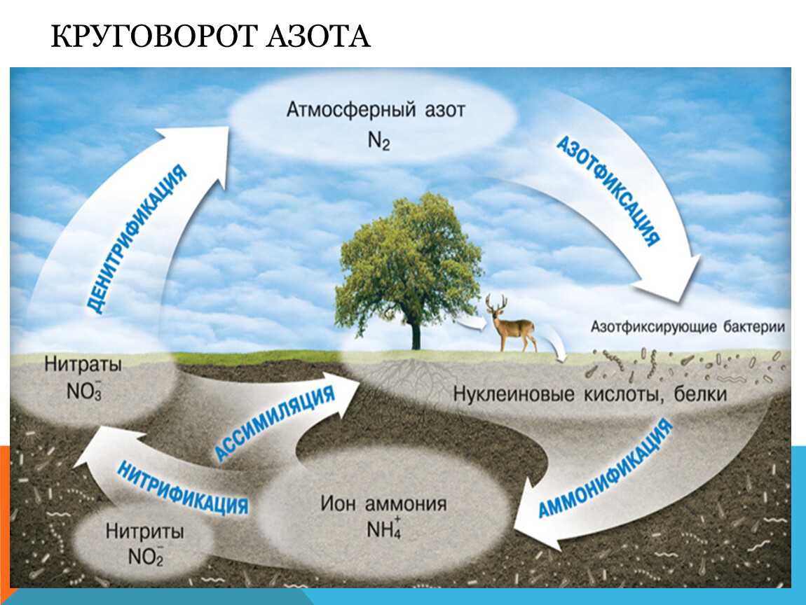 Круговорот ⭐️ воды в природе кратко и понятно: описание и значение процесса