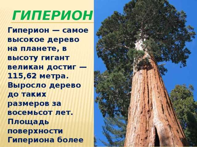 Ответы к §38 урок-семинар происхождение и развитие жизни на земле гдз к учебнику биологии пасечник 9 класс - страница 39