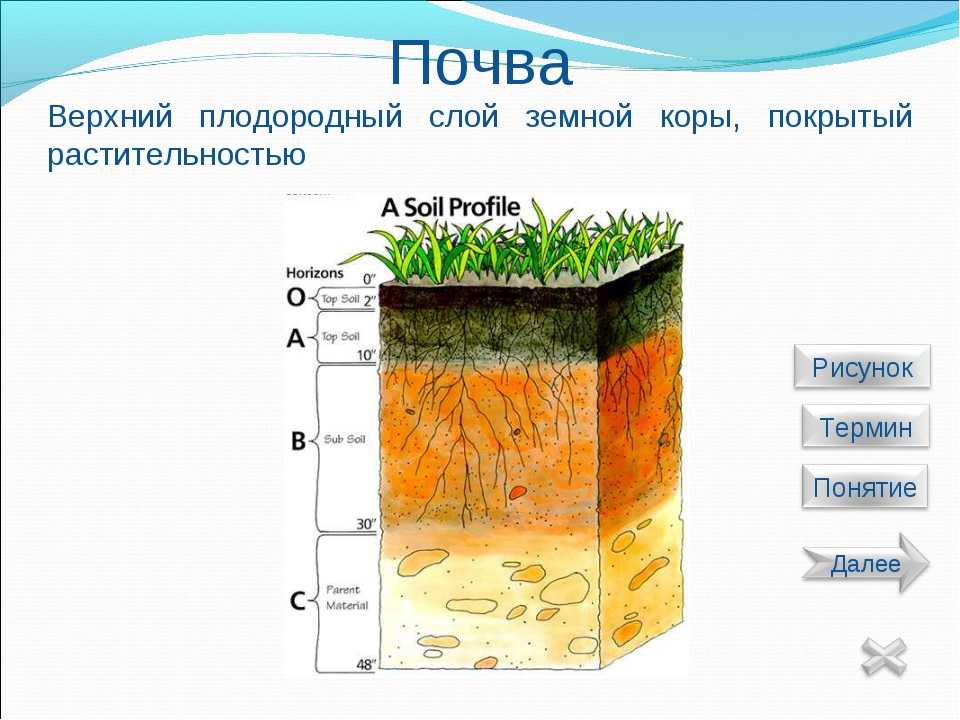 Размер плодородного слоя почвы