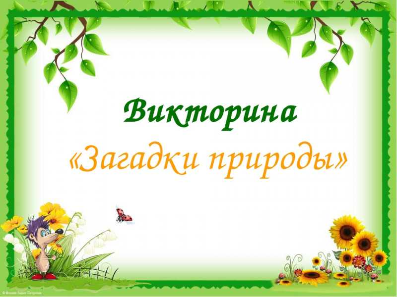 Топ 10 загадок природы
