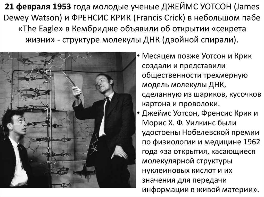 Уотсон и крик вклад в биологию кратко. фрэнсис харри комптон крик - биография
