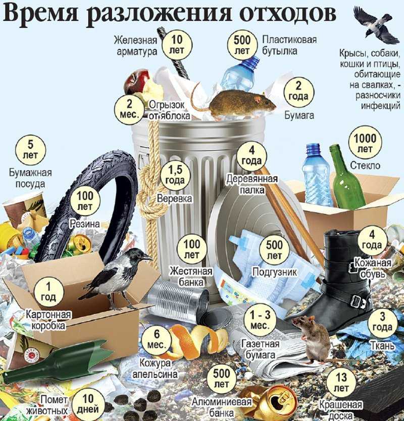 Бумага разлагается в земле. сколько времени требуется пластику для разложения? классификация добавок, ускоряющих разложение пластика