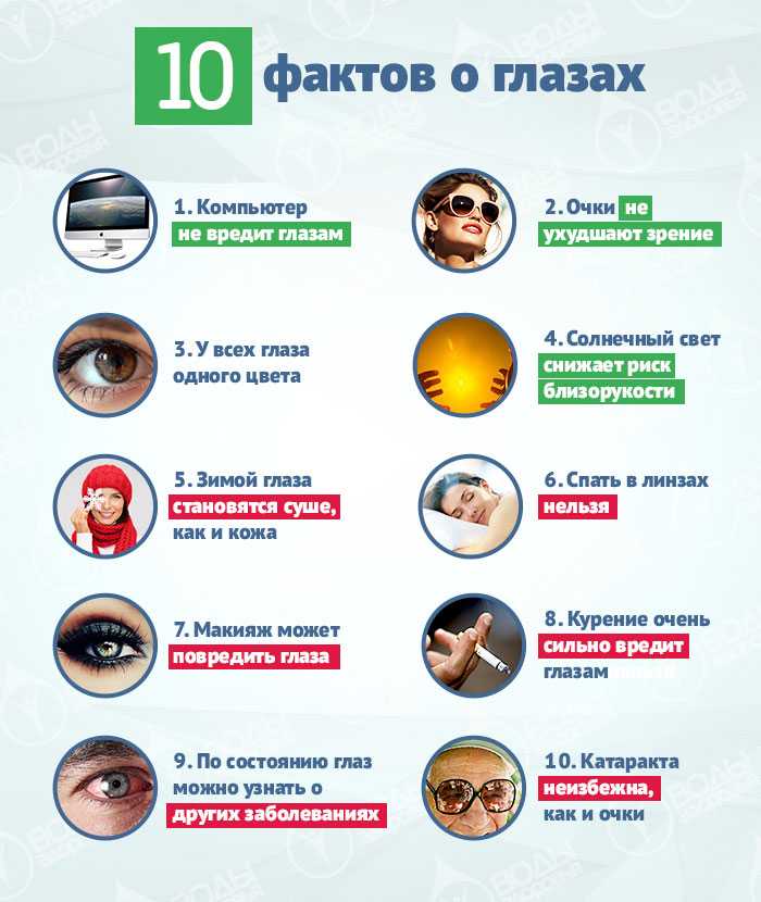 Интересные факты о глазах и зрении