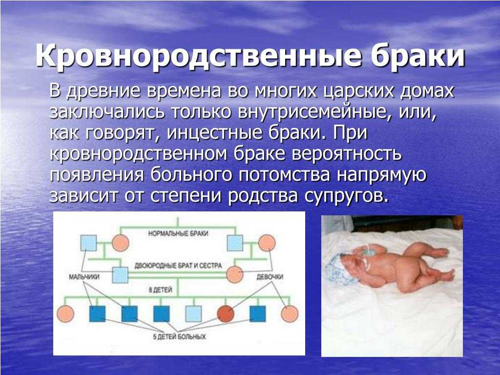 Vvs • генеалогические этюды 2. : что связывает две королевские династии (ответ: германия)