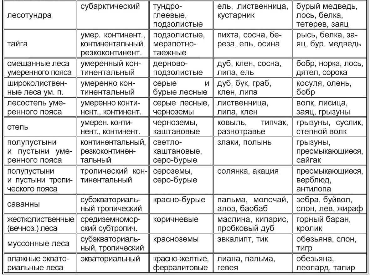 Характеристика и положение природных зон, почв россии на карте мира