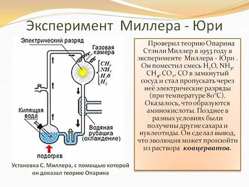 Этикой и не пахнет. какие технологии и научные открытия шли вразрез с моралью — секрет фирмы