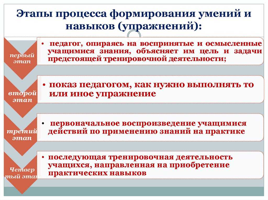 — умения и навыки.