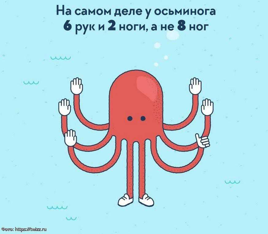 20 очень интересных фактов о детях